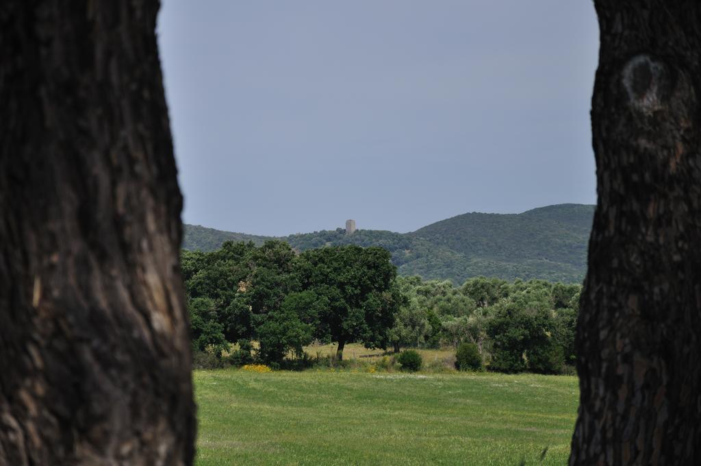 Agriturismo La Valentina Nuova Βίλα Ταλαμόνε Εξωτερικό φωτογραφία