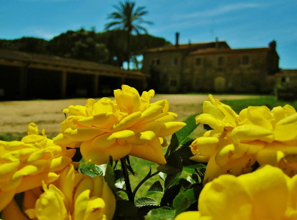 Agriturismo La Valentina Nuova Βίλα Ταλαμόνε Εξωτερικό φωτογραφία