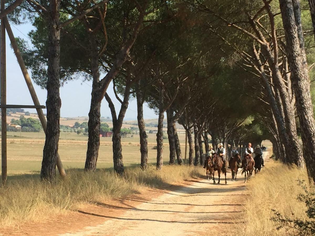 Agriturismo La Valentina Nuova Βίλα Ταλαμόνε Εξωτερικό φωτογραφία